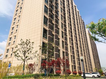 濱海之星優(yōu)點(diǎn) 不足,濱海之星怎么樣,濱海之星周邊房產(chǎn)中介經(jīng)紀(jì)人評價 上海安居客