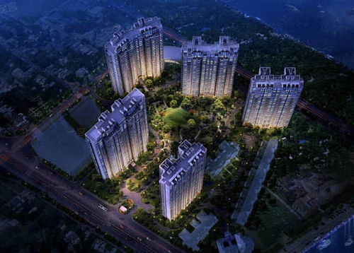 上海楊浦 怎么樣 內部員工勁爆揭秘,為什么賣這么火爆