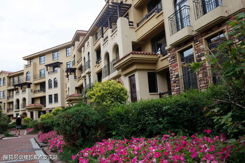 最新動(dòng)態(tài) 樓盤信息 房價(jià) 戶型 周邊配套,交通地圖及動(dòng)態(tài)