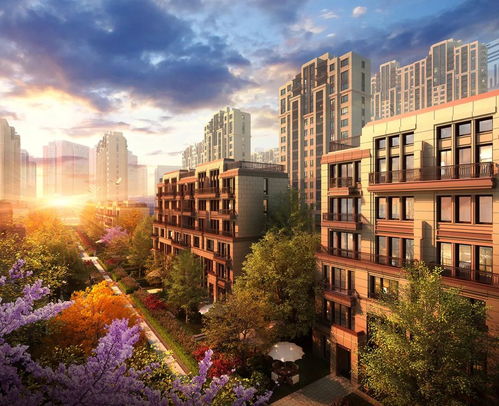 居住自由 一個上海家庭的夢想與現(xiàn)實