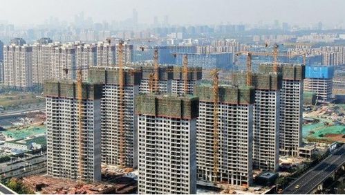 31省份前11月房地產(chǎn)開發(fā)投資排行榜出爐 17地增速超全國(guó)，上海房地產(chǎn)經(jīng)紀(jì)行業(yè)引關(guān)注